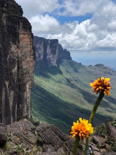 monte_roraima7